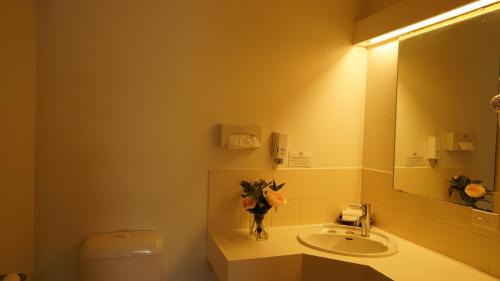 Singleton Hotel | Country Motor Inn