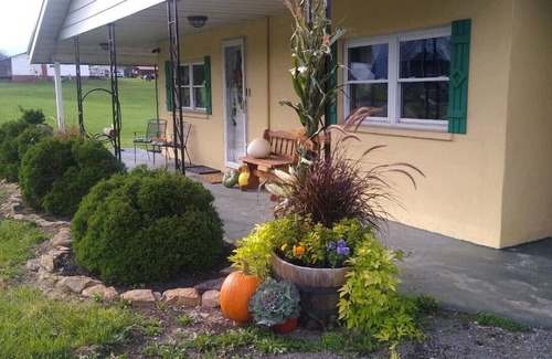 Brandonville Cottage | Country Roads Cottage w/fenced in yard close to state forests and WVU!