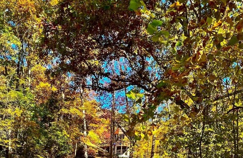 Clear Creek House | Country Roads Retreat *A-Frame Cabin*