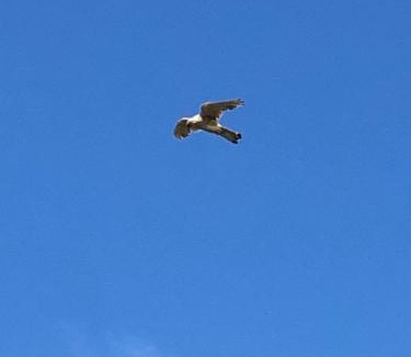 Clacton-on-Sea House | Country View place