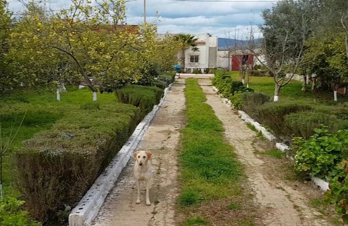 Ouislane Villa | Country villa 10 minutes from downtown