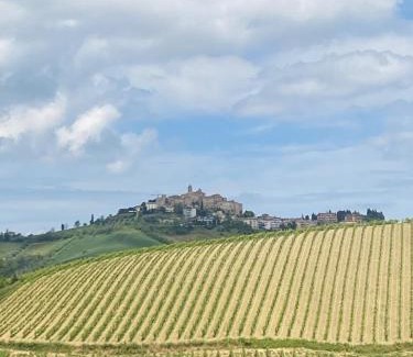 Cossignano Villa | Countryhouse Gli Ulivi