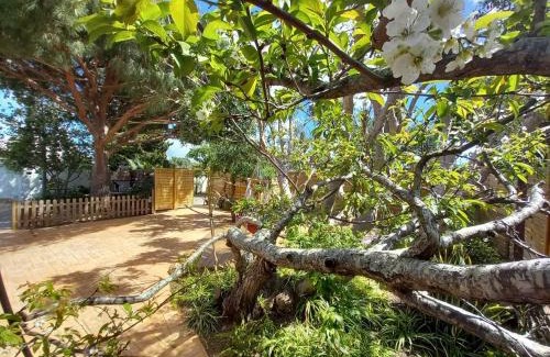 Los Franceses-la Vega House | Countryside villa & private Covered Pool