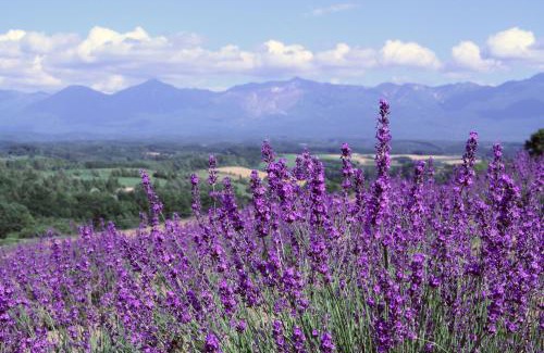 Sorachi-gun House | countryside FURANO