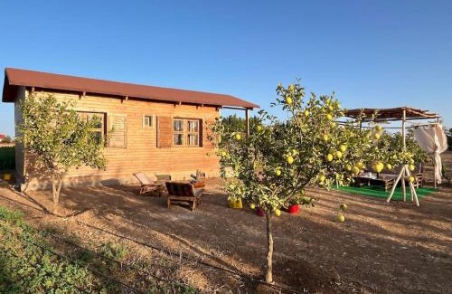 Ain Tizgha Ski Chalet | Countryside's Tiny House