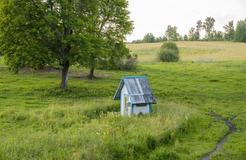 Torva Other | Countryside tent near Tõrva