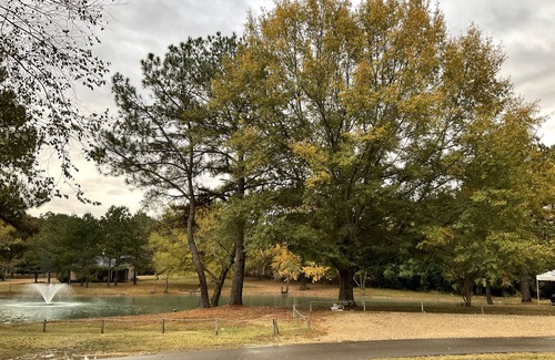 Walnut Grove Apartment | Court house one bed room