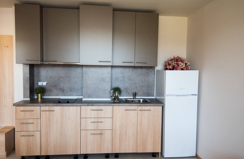 Panagyurishte Apartment | Court Inn