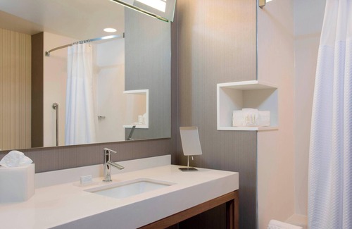 Holland Hotel | Courtyard by Marriott Holland Downtown