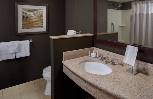 Braeswood Place Hotel | Courtyard by Marriott Houston Medical Center/NRG Park
