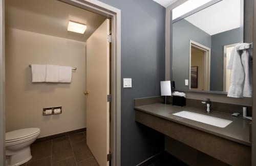 North Charleston Hotel | Courtyard by Marriott North Charleston Airport Coliseum