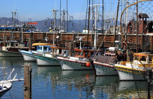Fisherman's Wharf Hotel | Courtyard by Marriott Fishermans Wharf