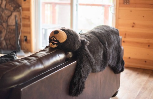 Patton Cabin | Cove Cabin. Lakefront, Hot Tub, Swing Set, Dock Privileges. Sauna. Game Room. Stunning Views!