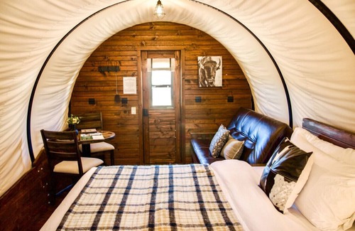 Branson Other | Covered Wagon on Real Ranch | Trails, Kayaks, & Animals- Big Sky Conestoga Wagon