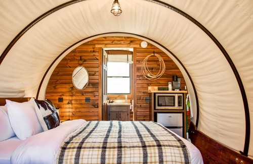 Branson Other | Covered Wagon on Real Ranch | Trails, Kayaks, & Animals- Big Sky Conestoga Wagon