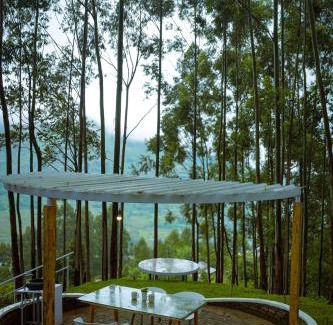 Vattavada Resort | Cox Cargill