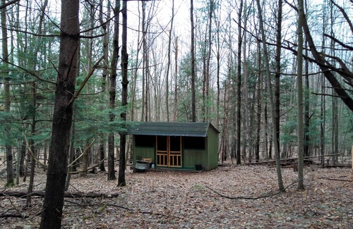 Dryden Cabin | Coyote's Den Rustic Cabin for Adventurous Camper