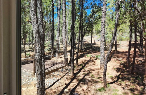 Show Low Cabin | Cozy 1 bd cabin with WIFI and AC in fantastic Show LownWinter Rate 85.00 nightly