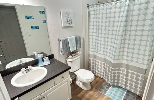 Charlotte Apartment | Cozy 1-bedroom apartment with WiFi and fitness room in charming Charlotte