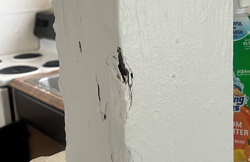 Tampa Apartment | Cozy 1-bedroom apartment in awesome Tampa with WiFi, AC