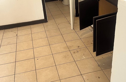 Tampa Apartment | Cozy 1-bedroom apartment in awesome Tampa with WiFi, AC
