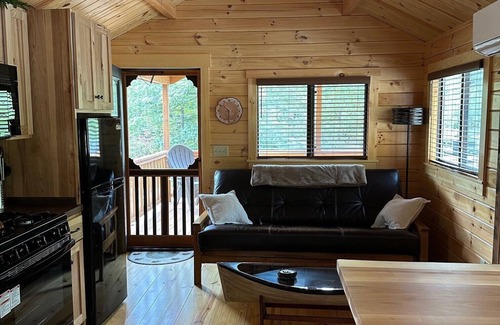 Hiawassee Cabin | Cozy 1 bedroom cabin in charming Hiawassee with WiFi, AC & HeatnAdults only.