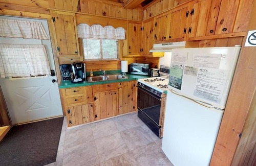 Gaines Cabin | Cozy 1-bedroom cabin with AC, romantic gas fireplace & private porch with swing