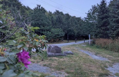 Waterford Valley House | Cozy 1 bedroom close to dt next to river