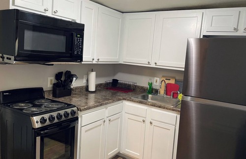 Mount Pleasant House | Cozy 1 Bedroom Located Downtown/Close to Soaring Eagle/CMU