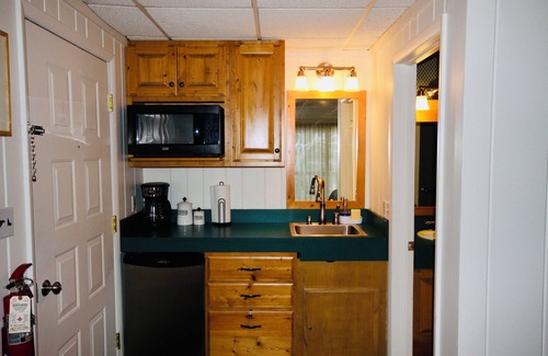 Bellaire Apartment | Cozy 1-bedroom studio in Bellaire-Skiing, Tubing, Golf, Lakes!nn