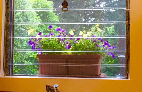Sonoma Cottage | Cozy 1 BR Cottage 2 Block Stroll to Sonoma Plaza.