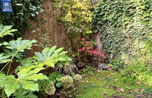 Bethnal Green Condo | Cozy 1-BR Garden Flat For Up to 4 in East London
