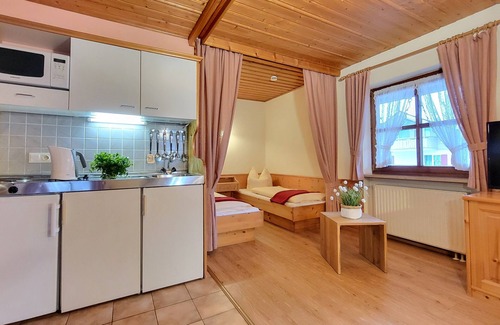Oberau Apartment | Cozy 1-room apartment with terrace and mountain view