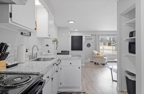 Mount Clemens Apartment | Cozy 1BR by Downtown Mt.Clemens | Hollywood Suites