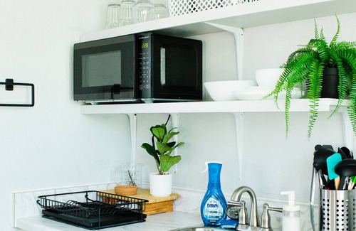 East Hill Apartment | Cozy 1BR Place in Pensacola