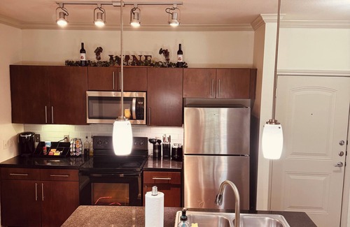 South Main Apartment | Cozy 2-bedroom/2Bath apartment in med Center/NRG