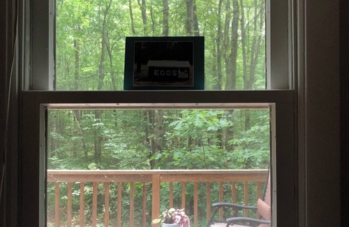 Sherwood Forest Cabin | Cozy 2-bedroom cabin in charming Becket with WiFi, AC