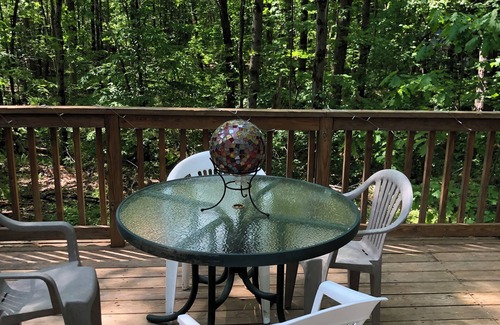 Sherwood Forest Cabin | Cozy 2-bedroom cabin in charming Becket with WiFi, AC