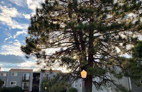East Old Golden Rd Condo | Cozy 2-bedroom condo in lovely Golden with AC, WiFi, Patio
