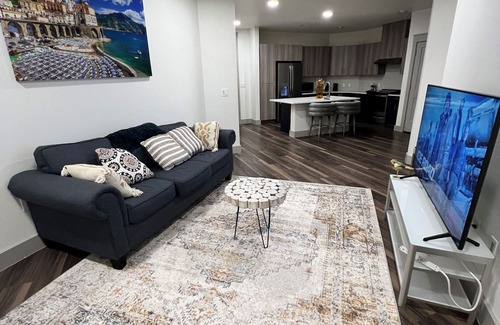 Addison Apartment | Cozy 2- bedroom with Smart TV’s, AC, WiFi, huge pool in amazing Area of Addison
