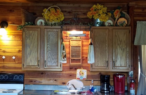 Antlers Cabin | Cozy 2 rm pet friendly cabin- private lake - fishing & swimming - CowboyCabin