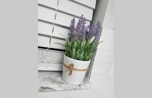 Temple Terrace Apartment | Cozy 3 bed 2.5 bath located near Busch Gardens