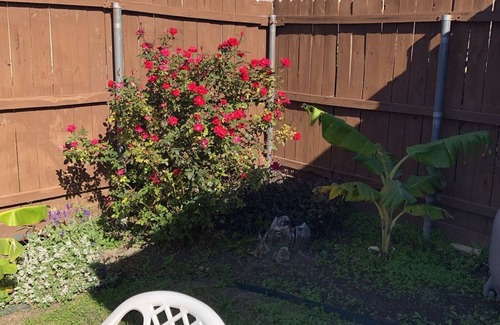 Glenn Heights House | Cozy 3 Bedroom - 2 Bathroom home w/enclosed patio