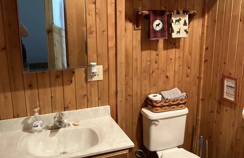 Manistique Cabin | Cozy 3-bedroom cabin in peaceful Manistique on Indian Lake with wifi and cable