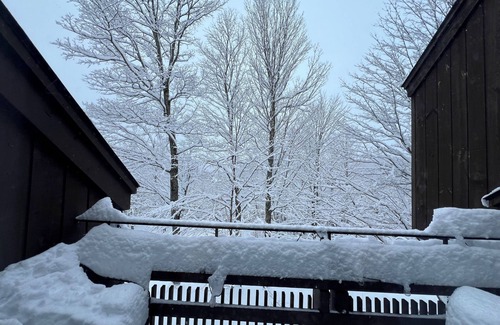 Plymouth Condo | Cozy 3-bedroom condo located in Plymouth, VT .n12 miles to Okemo mountain-