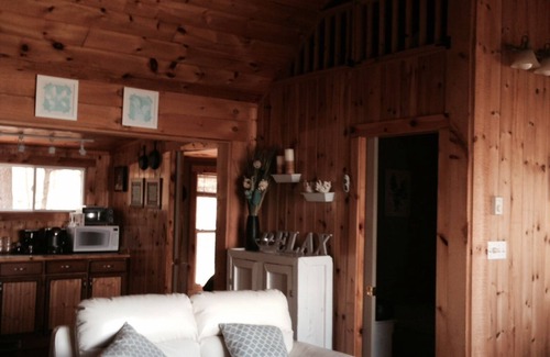Torrance Cottage | Cozy 3 Bedroom Lakefront Cottage In The Muskoka For Rent