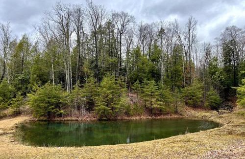 Mt Lookout House | Cozy 3 BR Cabin with Pond on 3 acres - New River Gorge - Summersville Lake