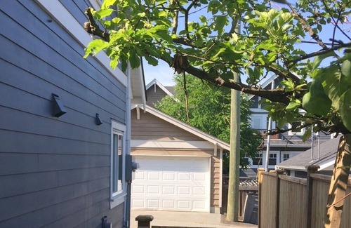 South Cambie House | Cozy 3bdrm lane house near beautiful park & Cambie Village, near Downtown & YVR