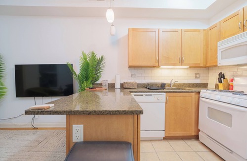 Hyde Park Apartment | Cozy 3BR Hyde Park Oasis Near UChi, Shops & Dining