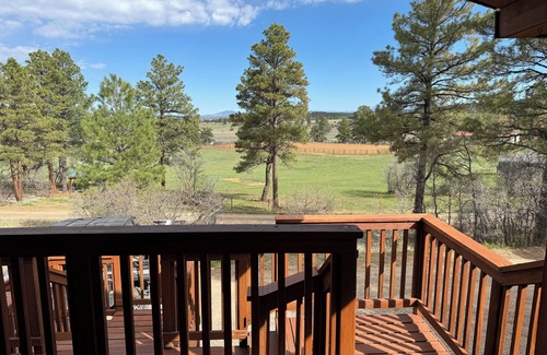 Los Ojos Cabin | Cozy 4-bedroom cabin in Chama with relaxing mountain vibes